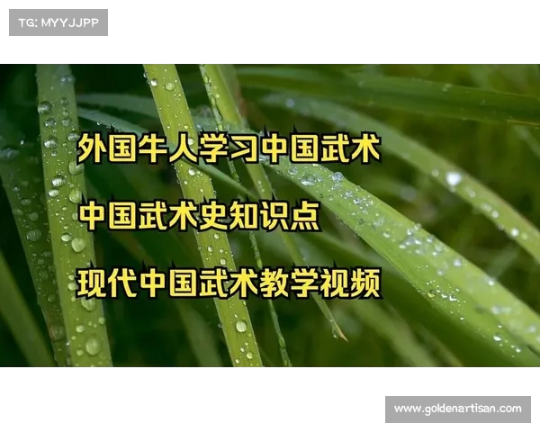 武术班教学探索:传统技艺与现代实践的完美融合 武术班教学探索:传统技艺与现代实践的完美融合